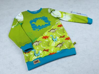 Grüner Kinderpullover mit blauem Dinosaurier-Plott und gemustertem Dino-Stoff