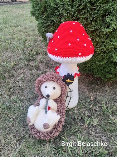 Igor mit Pilz-Anleitung - Bild 2