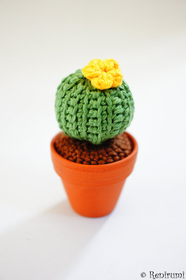 Häkelanleitung Kaktus