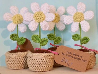Gänseblümchen Daisy - Häkeln