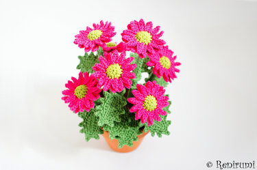 Crochet pattern Chrysanth