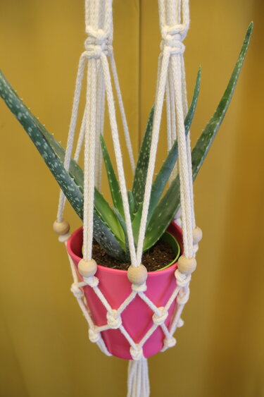 Macrame Plant Hanger DIY