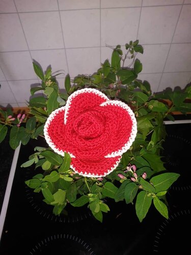 Gehäkelte rote Rose mit weißem Rand auf grünem Blattwerk