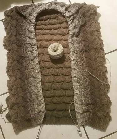 Strickjacke Drachenhoernchen - Stricken