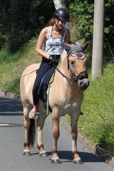 Top Shirt Anni in 2 Längen nähen mit Schnittmuster in Gr. 34 - 52 E-Book