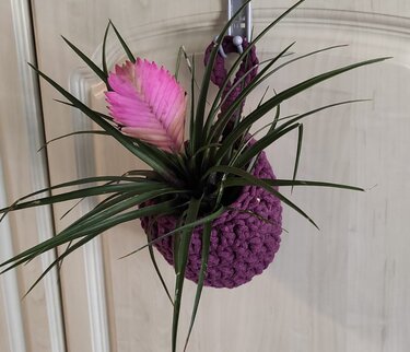 Violetter gehäkelter Hängetopf mit grüner Pflanze und pinker Blüte, hängend an einer Tür