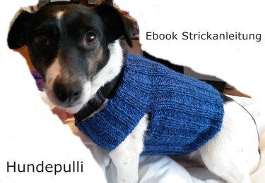 Strickanleitung Hundepuli- auch für Anfänger - Bild 2