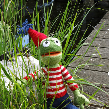 Poldi der Frosch Strickanleitung