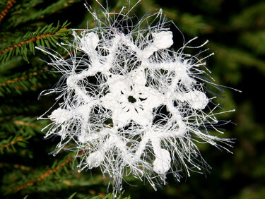 Weiße gehäkelte Schneeflocke aus Flauschgarn an Tannenzweig