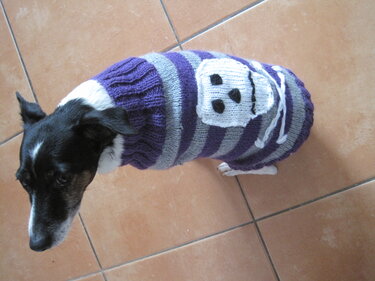 Strickanleitung Hundepulli Totenkopf- ideal auch für Anfänger