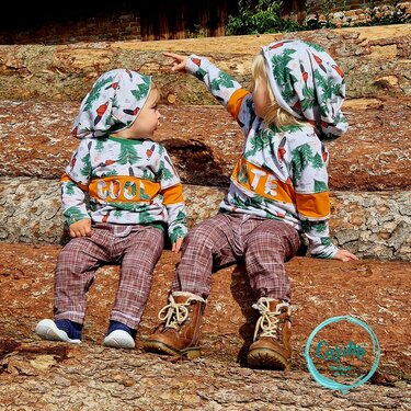 BSS - Basic Statement Sweater Gr. 86 - 164 inkl. A0 - Nähen