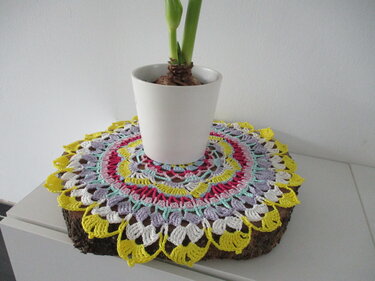Rundes gehäkeltes Deckchen in Gelb, Pink, Lila und Türkis auf einer Holzscheibe unter einem weißen Blumentopf.