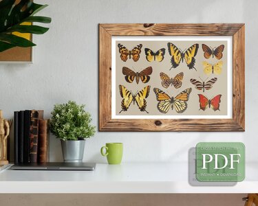 Butterflies > Cross Stitch Pattern PDF - Embroidery