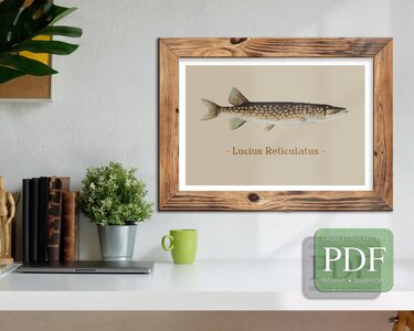 Pickerel > Cross Stitch Pattern PDF - Embroidery
