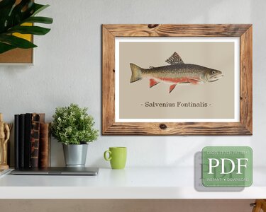 Brook Trout > Cross Stitch Pattern PDF - Embroidery