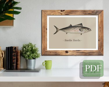 Bonito > Cross Stitch Pattern PDF - Embroidery