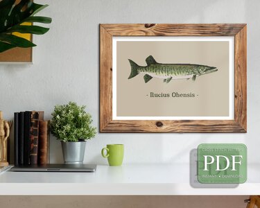 Maskalonge > Cross Stitch Pattern PDF - Embroidery