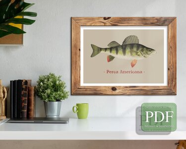 Yellow Perch > Cross Stitch Pattern PDF - Embroidery