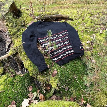 Schwarzer gestrickter Pullover mit weißen und roten Streifen auf moosigem Waldboden