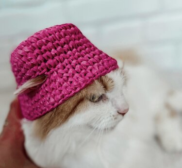 Pink bucket hat for cats and small dogs crochet pattern PDF digital