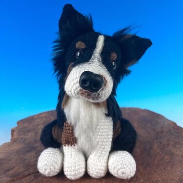 Australian Shepherd Amigurumi sitting dog crochet