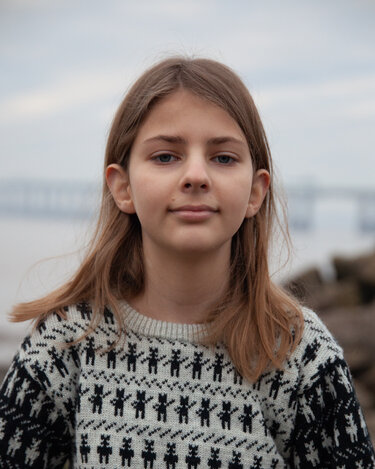 Animal Antics Pullover - Machine Knitting Pattern