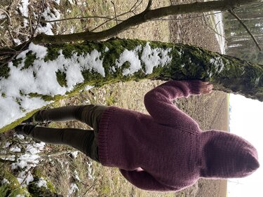 Rückenansicht einer Person in bordeauxroter, gestrickter Kapuzenjacke, lehnt an moosigem Baumstamm mit Schneeresten