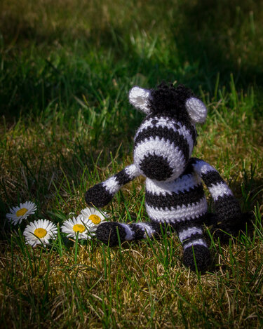 Black-and-white crocheted amigurumi zebra sitting in grass with white daisies