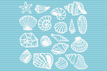 Weiße Vektor-Umrisse von Muscheln und einem Seestern auf hellblau-weiß gestreiftem Hintergrund