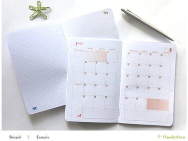 Monatskalender Hunde Trendfarben TN B6Slim K21224 - Basteln