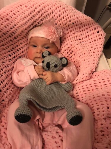 Erste Toy Amigurumi Toy Koala Bär Schmusetuch Häkelanleitung - Bild 5