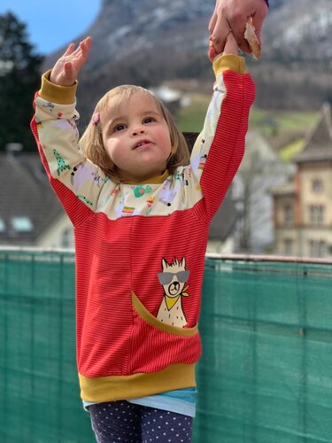 Lilou Lama Plotterdatei - Bild 7