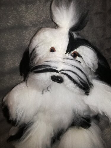 Bello (ein Süßer Hund) - Bild 2