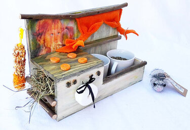 Essstation - Küche für Meerschweinchen - Basteln