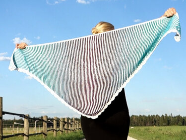 Wings Illusionsstricken