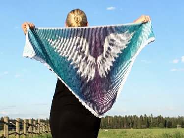Wings Illusionsstricken