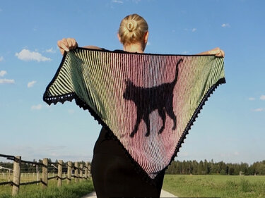 Katzentuch Illusionsstricken