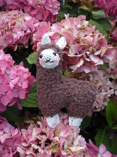 Brown crochet amigurumi llama with white face, pink blush, and white feet among pink hydrangea flowers.