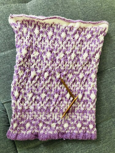 Zweifarbige Strickprobe in Lila und Weiß mit einer Holz-Rundstricknadel für Strickfilzen