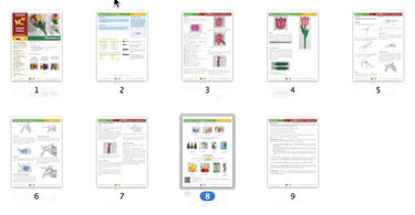 044 Crochet Pattern - Tulip flower bookmark or decor - Amigurumi PDF file by Zabelina CP - Image 4