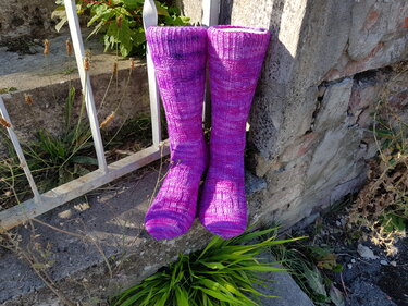 Ein Paar lange violette gestrickte Herrensocken lehnt an einer Steinmauer neben einem weißen Metallgeländer