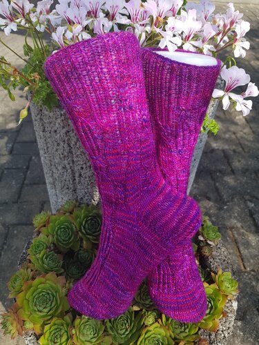 Detailaufnahme von gestrickten Damensocken in Pink
Violett mit Rippmuster am Schaft, auf einem Blumentopf drapiert