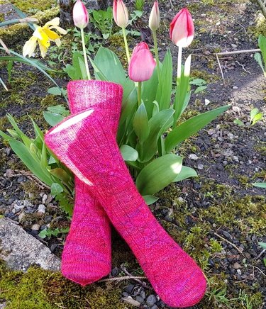 Zwei lange pinke handgestrickte Socken vor roten Tulpen und einer Narzisse im Garten