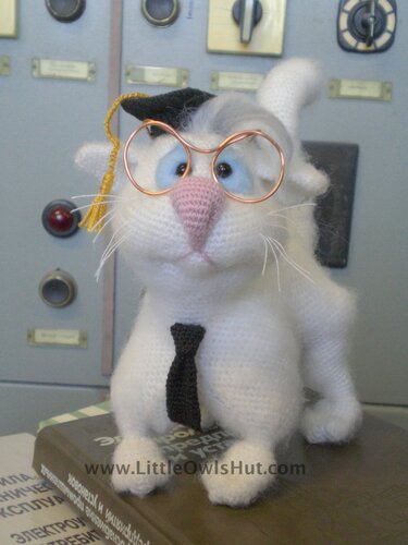 055 Crochet Pattern - Clever Cat with hat and tie - Amigurumi toy with wire frame PDF file by Astashova CP