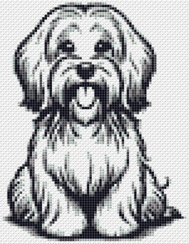 Cross stitch pattern Havanese Buddy, embroider a cute little dog - Embroidery