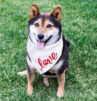 Stickdatei LOVE mit Hundepfote in 6 Größen, Maschinenstickdatei - Sticken