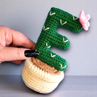 Cacti in pots with the word Home crochet pattern. Crochet shelf decor