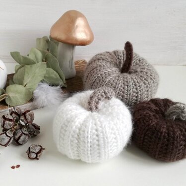 Three small neutral crochet pumpkins styled with dried botanicals and a decorative mushroom