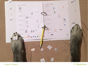 Planner stickers "a dog's life" 2 sizes, icons S3005 - Crafts