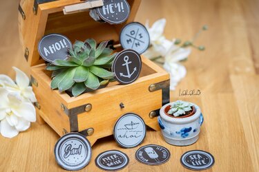 Holzkiste mit Sukkulenten und runden, maritimen Plottlabels mit Anker, Ahoi-Schriftzug und Strandmotiven